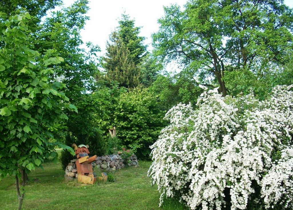 Ferienwohnung Marienkaefer Wulkow  エクステリア 写真